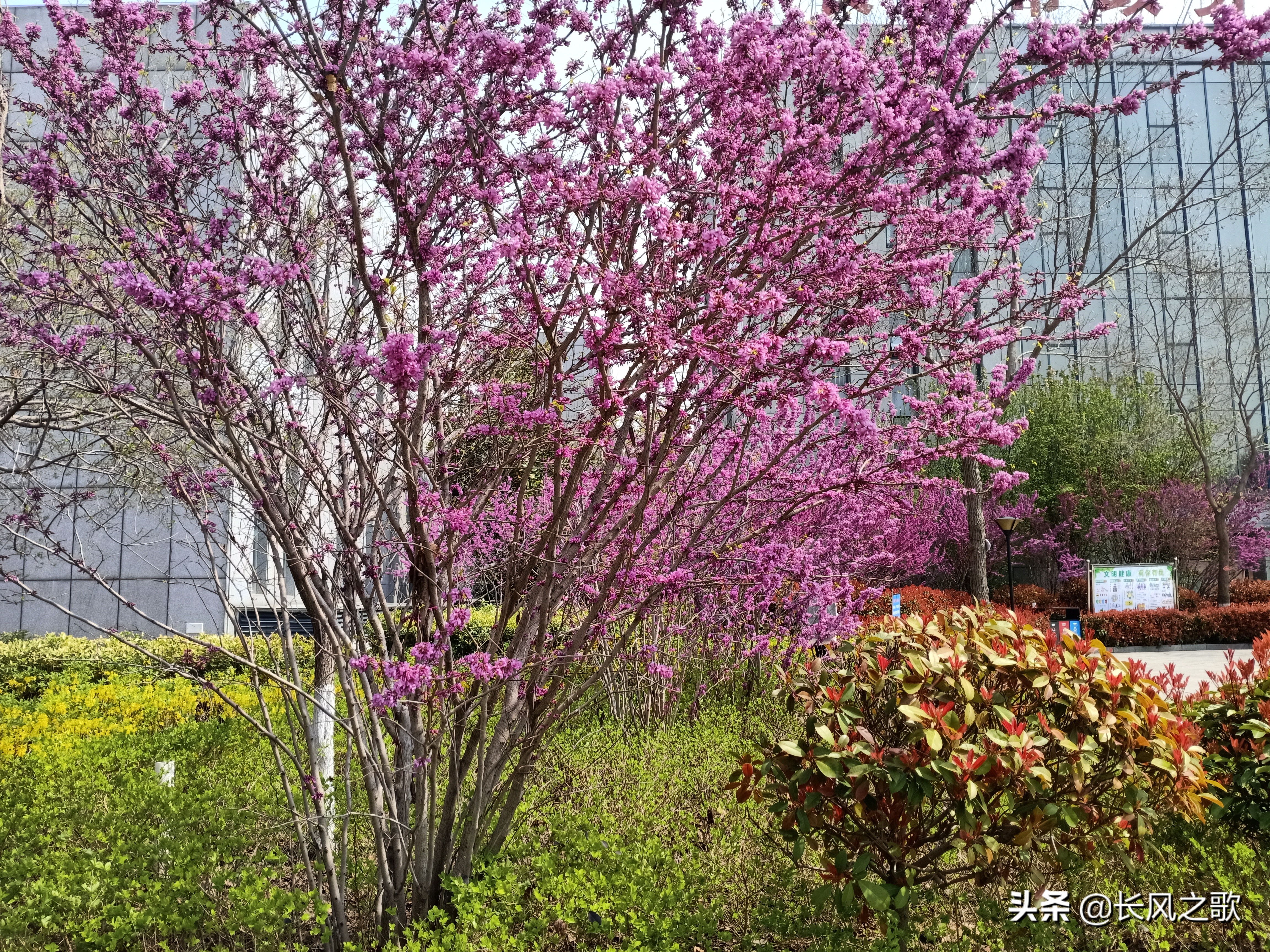 年度申报个人所得税,手机申报个人所得税