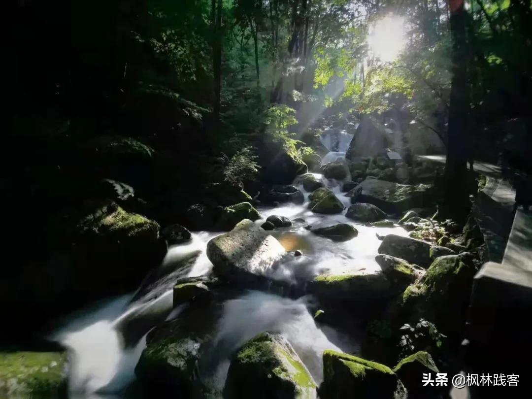 大自然不戴口罩的景点,夏日旅行好去处辽宁