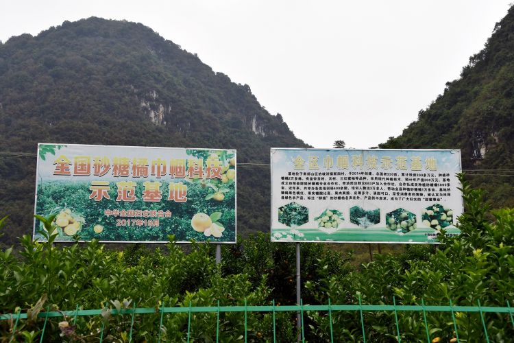 娣卞湷鐧捐壊娌虫睜鎵惰传鍗忎綔,娣卞湷鎵惰传娌虫睜