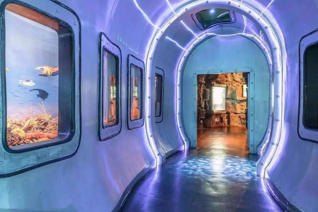 上海科技馆景区,上海科技馆景点介绍