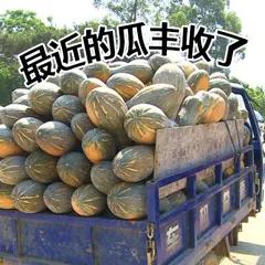 不管多高冷闷骚的西安年轻人，都抵挡不住这波“吃瓜的诱惑”