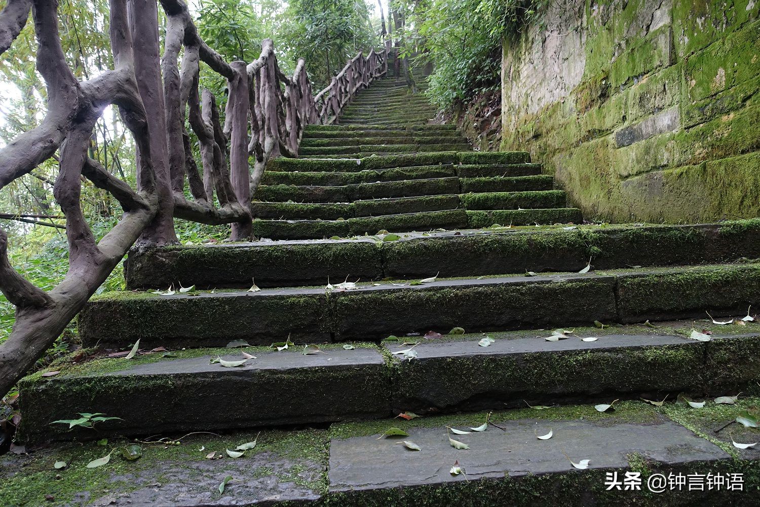 寻找消失已久的“歌乐灵音”：重庆歌乐山半日游