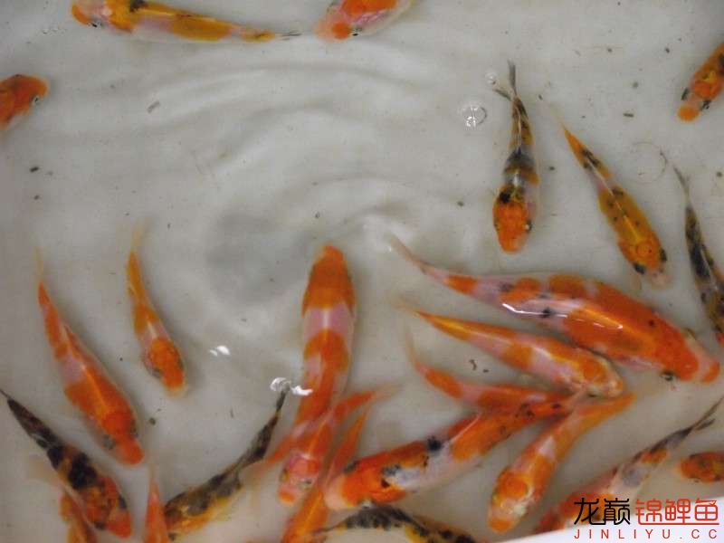 开渔场赚钱吗,开渔场需要多少资金