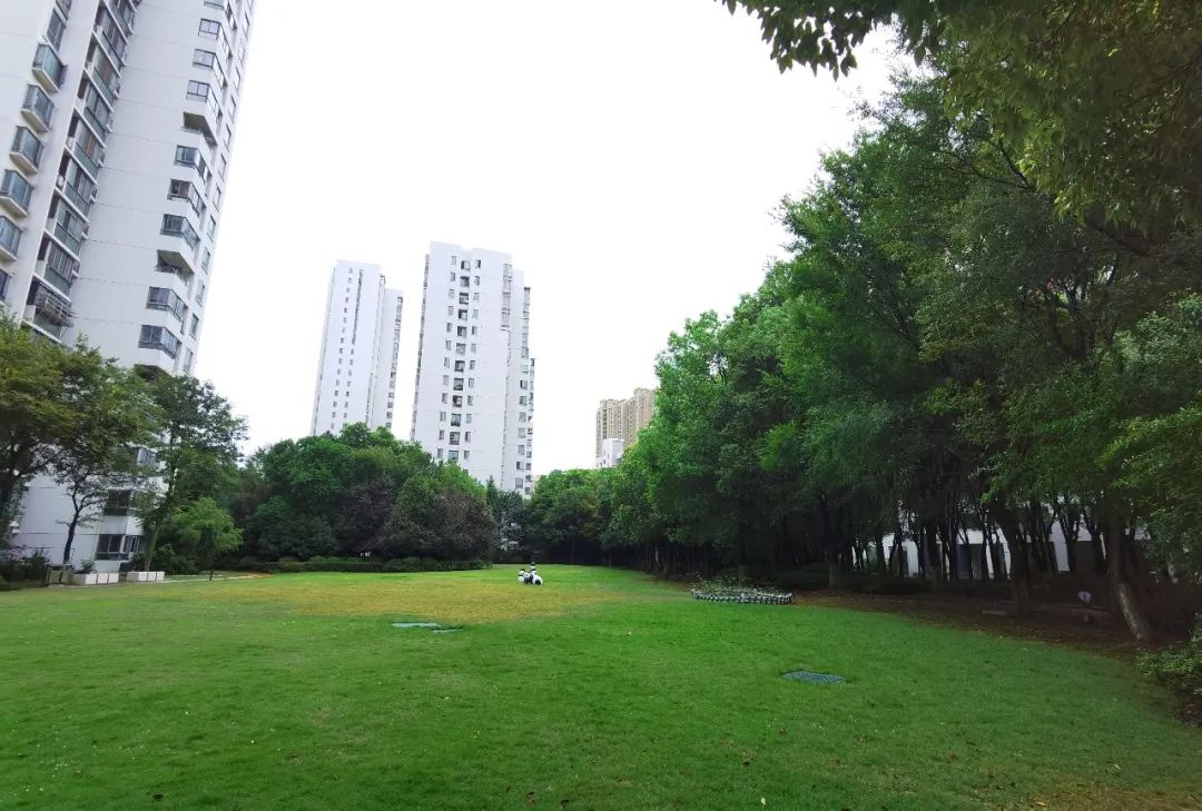 今天,我要好好夸下无锡这个学区房的物业