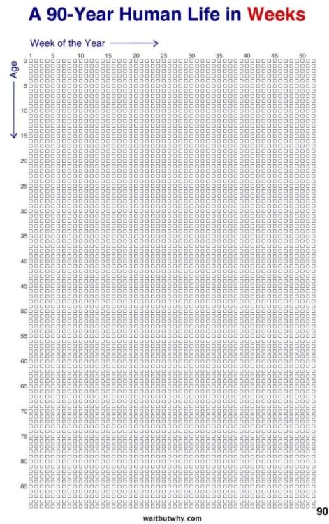 ted演讲的拖延症有哪几种分类,ted演讲拖延症的猴子