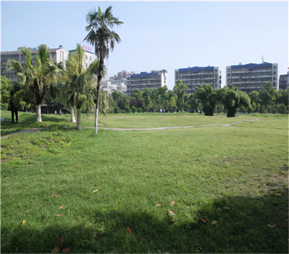 30+公园在路上，荆州又要“补绿”了