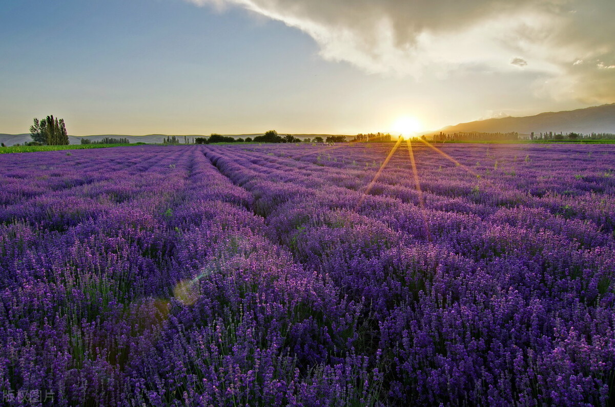 新疆自驾北疆伊犁大环线线路图,为什么不去新疆
