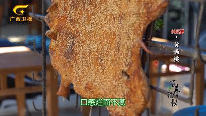 巴马长寿村10年候鸟人真实现状,最新巴马候鸟人真实讲述