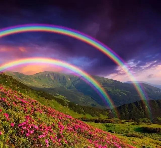 带有收藏的成语,成语归纳给孩子收藏吧