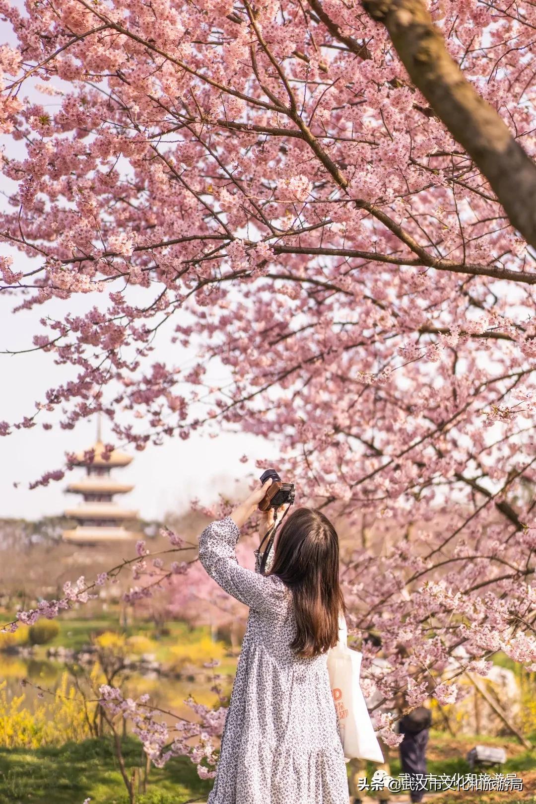 来武汉必须知道的10件事,武汉读大学攻略