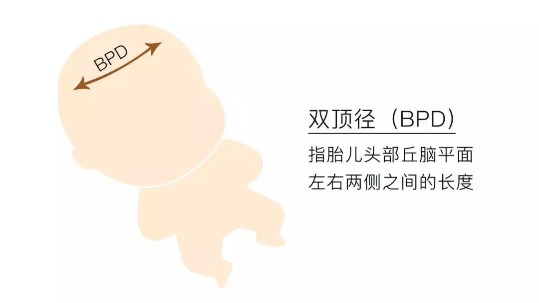 B超单的秘密，你看懂了？