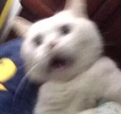 护肤品真的有用？BBC纪录片帮你算清楚护肤多年花了多少冤枉钱