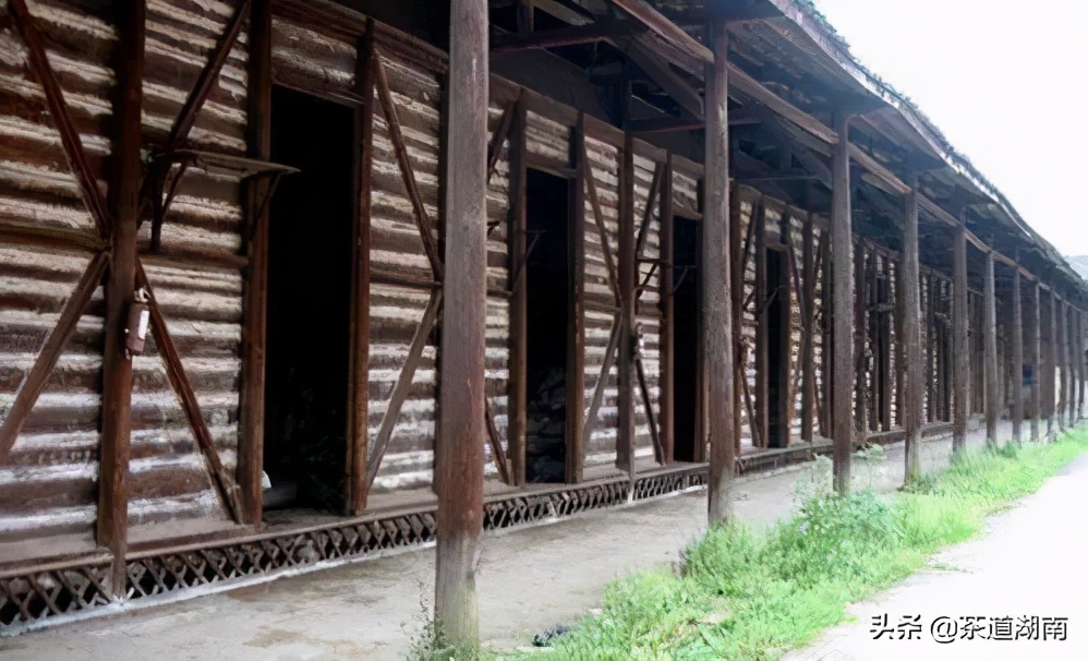 益阳茶文化的故事,安化茶叶历史传说