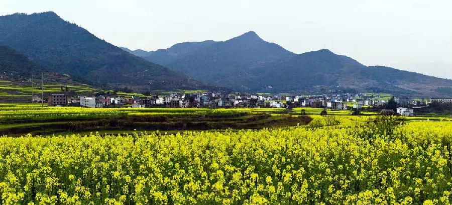 江西省有个莲花县,江西莲花县莲花镇