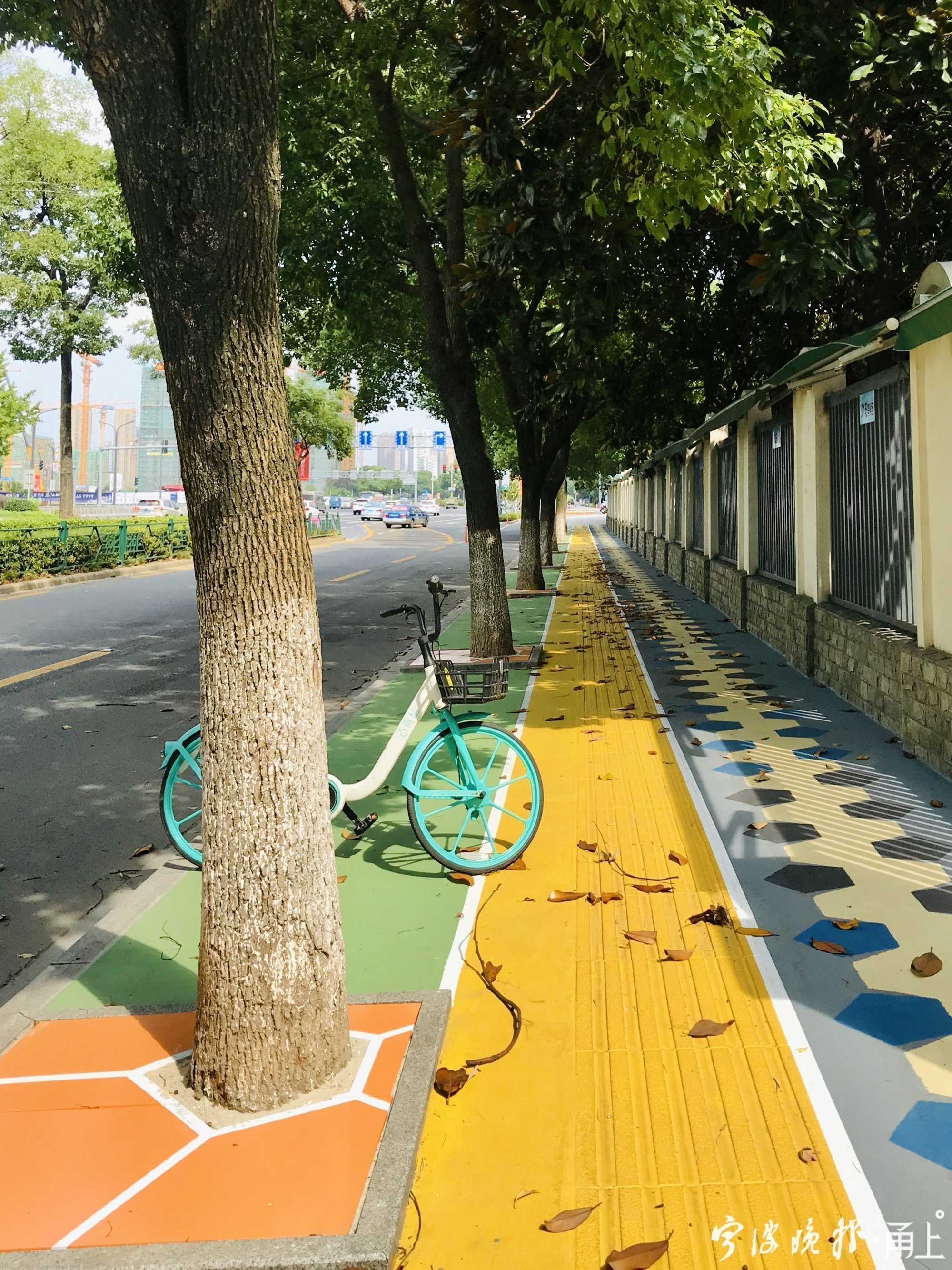 宁波鄞州的最美公路,宁波鄞州区最美的路