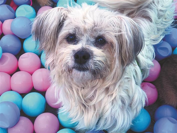 深圳福田区城管局在什么地方,深圳市城管局福田分局