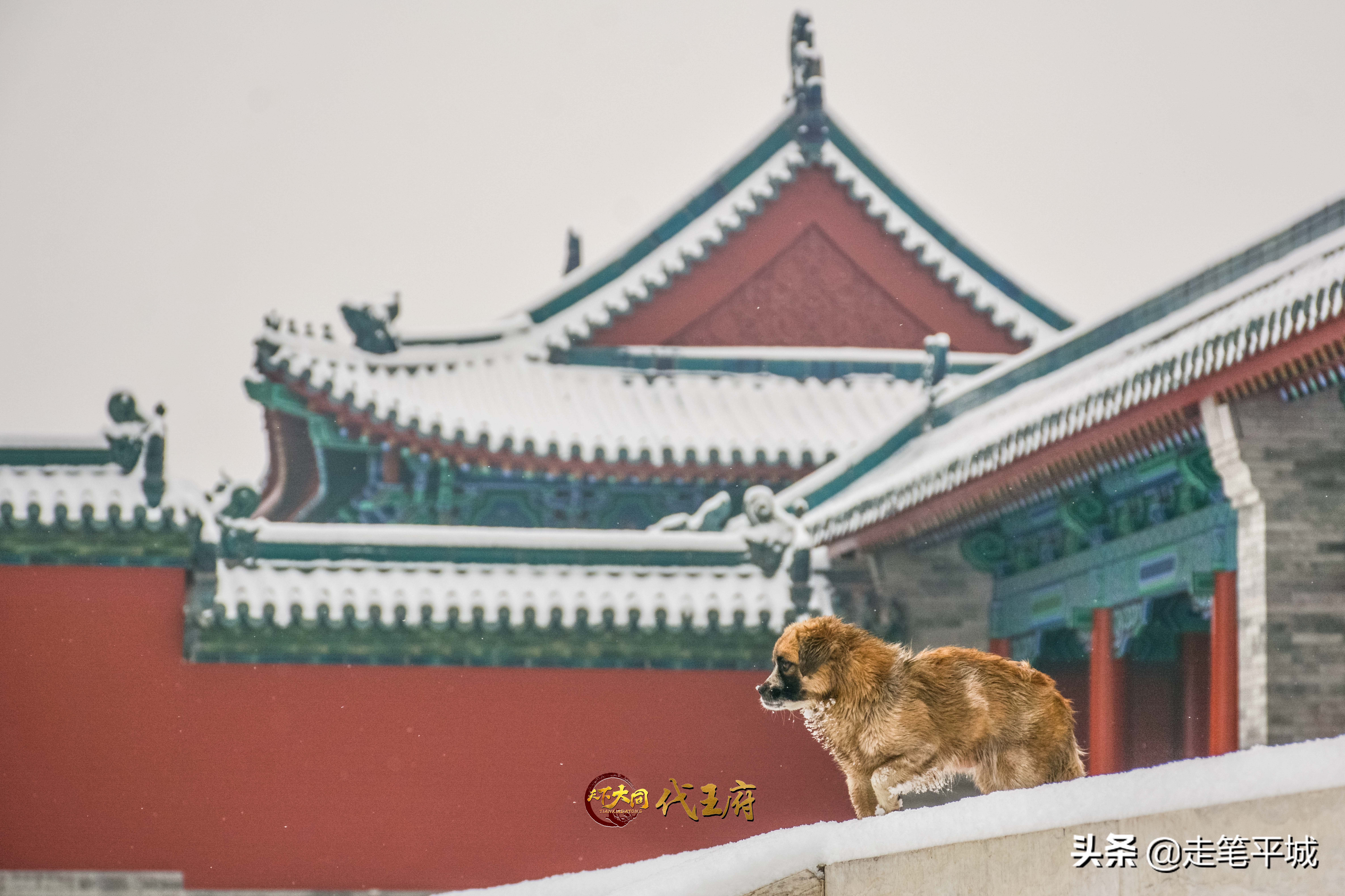 雪中中国,雪中的中国