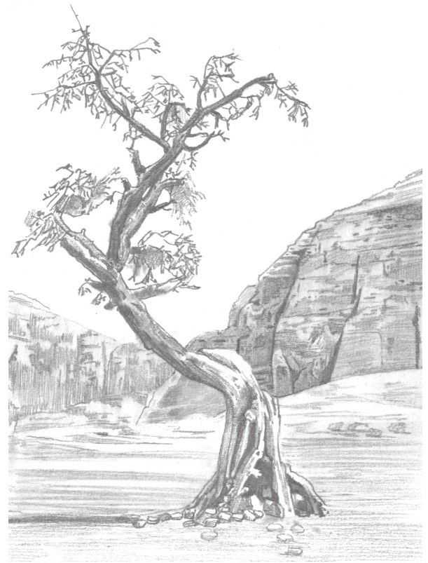 初学者画山石的方法,山水画入门基础画法