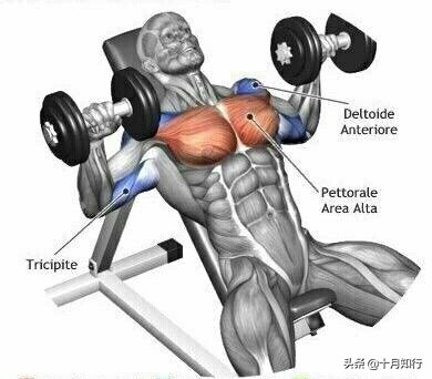 最有效把胸肌练硬训练,把胸肌练厚徒手