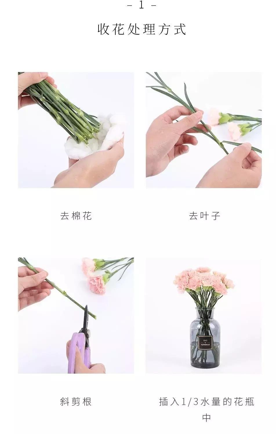 最美母亲节完整版,最美康乃馨母亲节