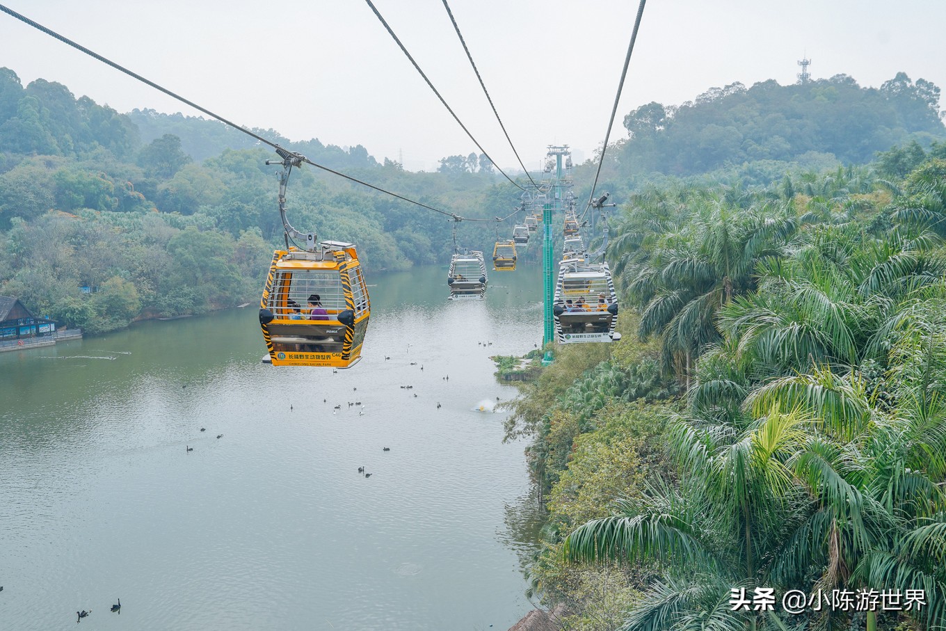 寒假广州长隆三天两夜亲子游攻略,带孩子广州长隆旅游攻略