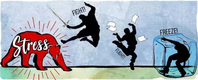 如何对待职场垃圾人,老梁遇到垃圾人认怂不丢人