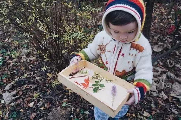 7-12月宝宝蒙氏亲子游戏,100个经典蒙氏小游戏总结