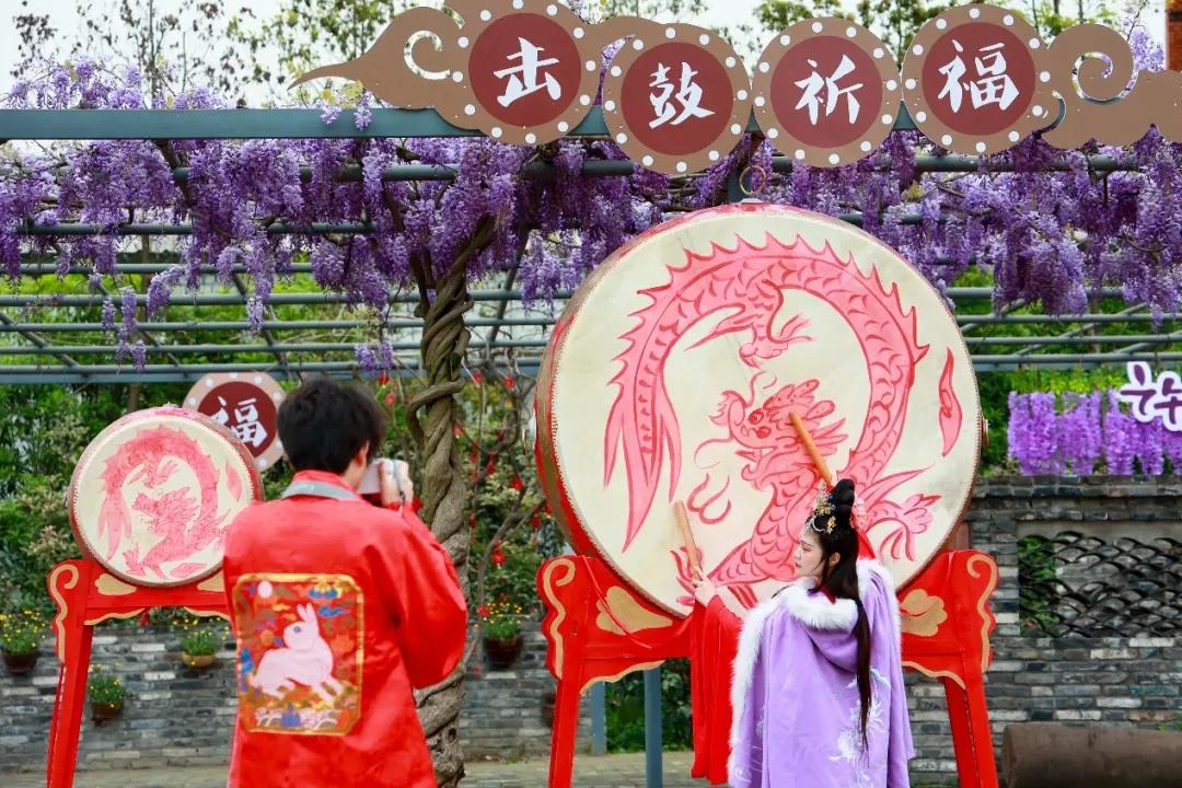 十里紫藤长廊，成都芳华微马公园紫藤绽放