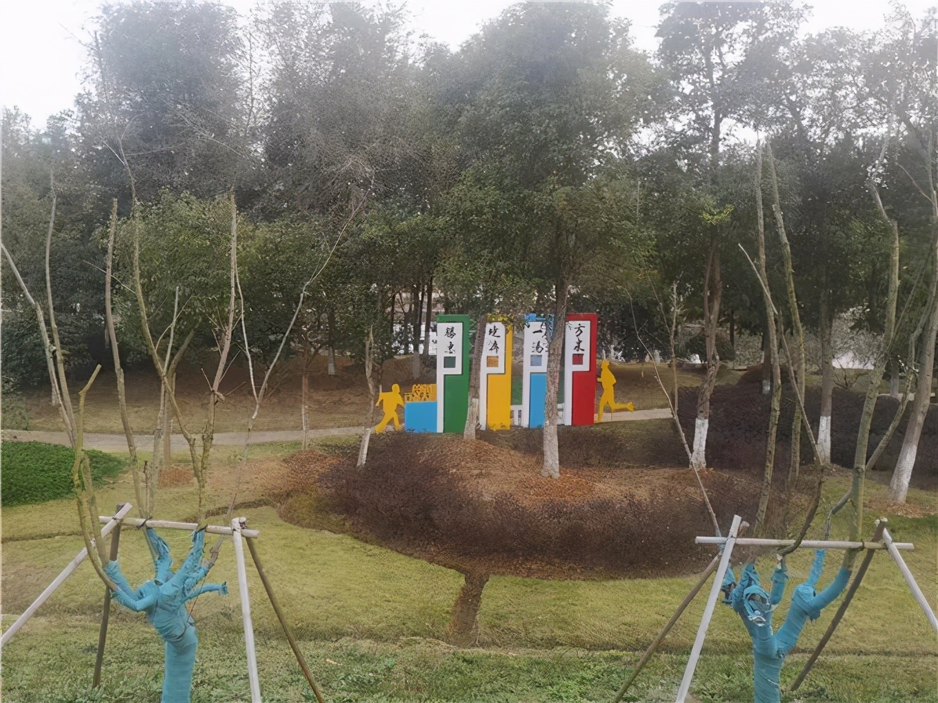 藏不住了这片樱花林免门票免预约,藏不住的傅先生