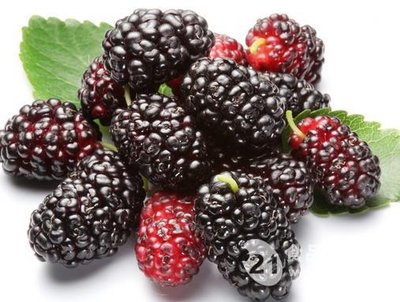 什么中药去皱纹美白润肤,中药美容祛斑美白