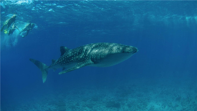 马代亲子游准备清单,第一次来马边要去哪里玩