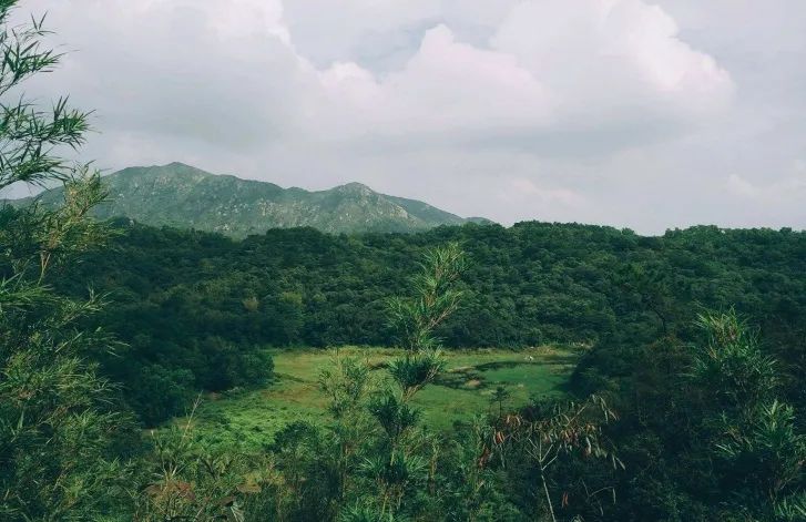 生活在珠海的真实体验,在珠海生活怎么样