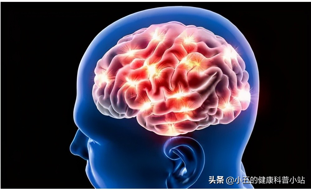 能稳定斑块的中成药,既能降压又能降脂的药