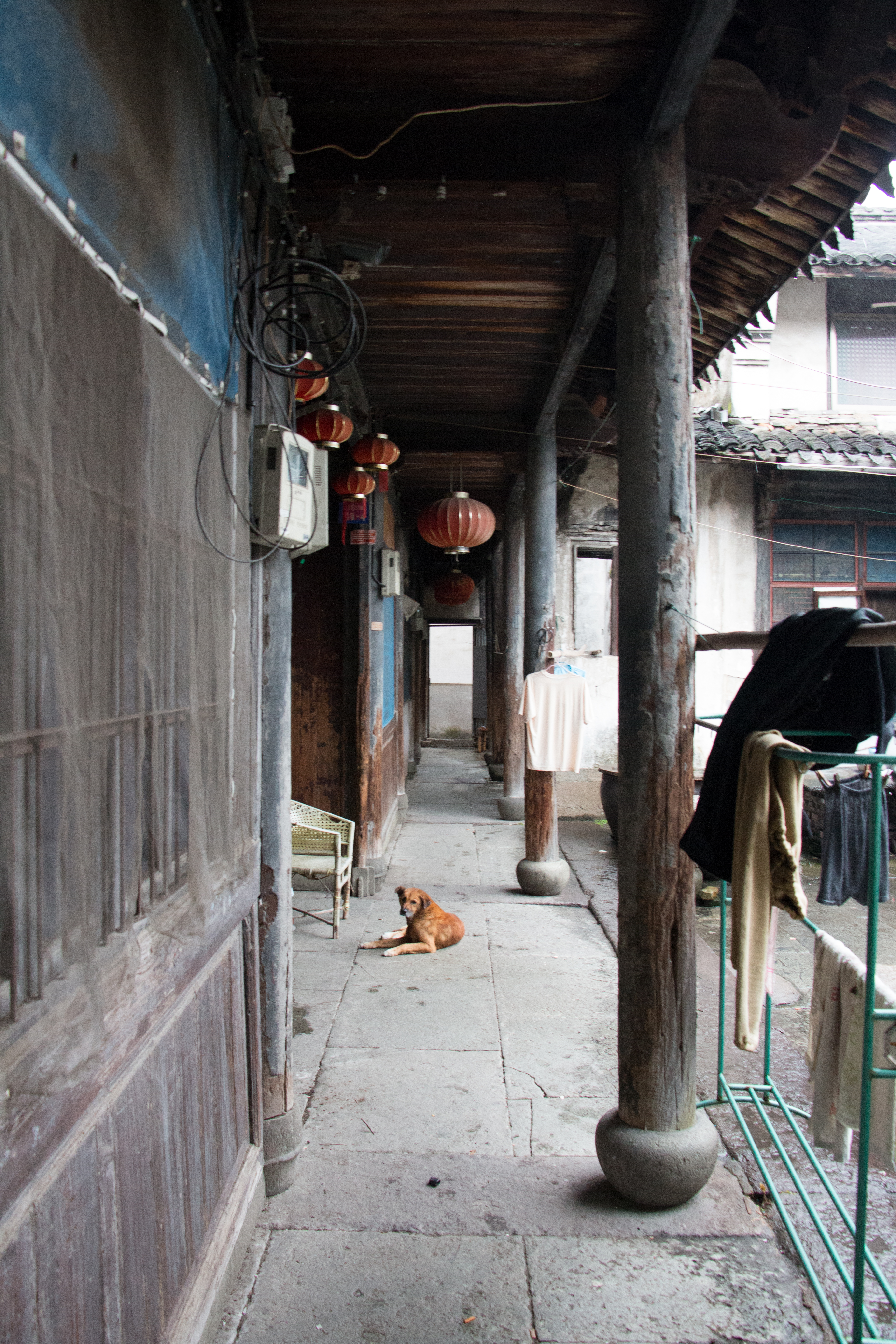 鹤皋古镇,鸣鹤古镇绕湖路