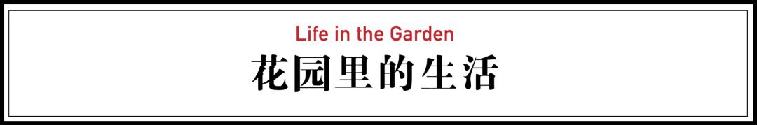 一个安徽爷爷，花1万块种出5000㎡私家花园，被评为中国最美