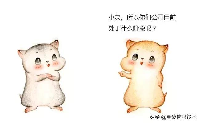 什么是中台元仓,什么是中台测试