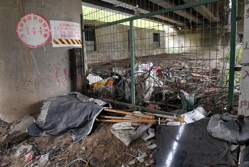 垃圾堆、破围挡、1米高的杂草、……郑州东站附近颜值亟待提升