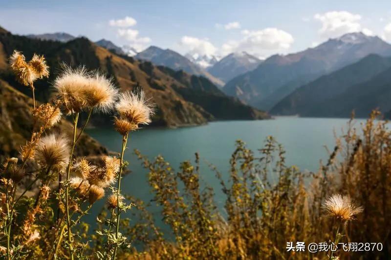 新疆阜康市天山天池,天山天池景区