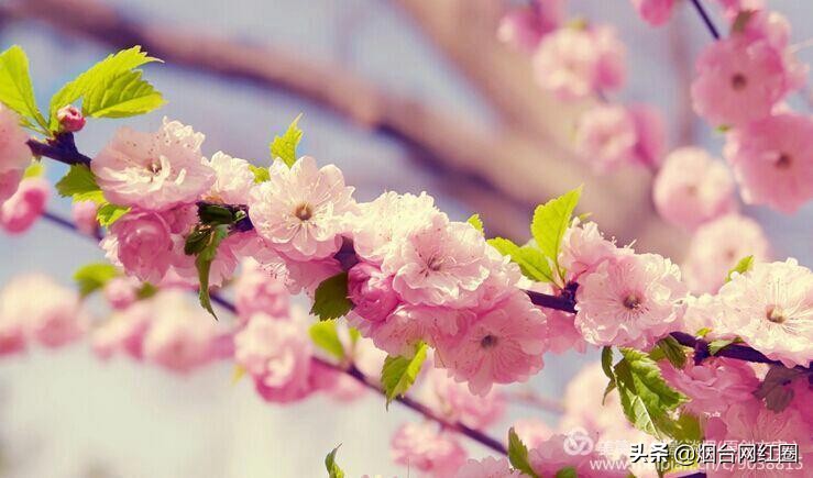 逦迤在乌山脚下，远远地见，邓拓故居院落边上，黛瓦白墙下