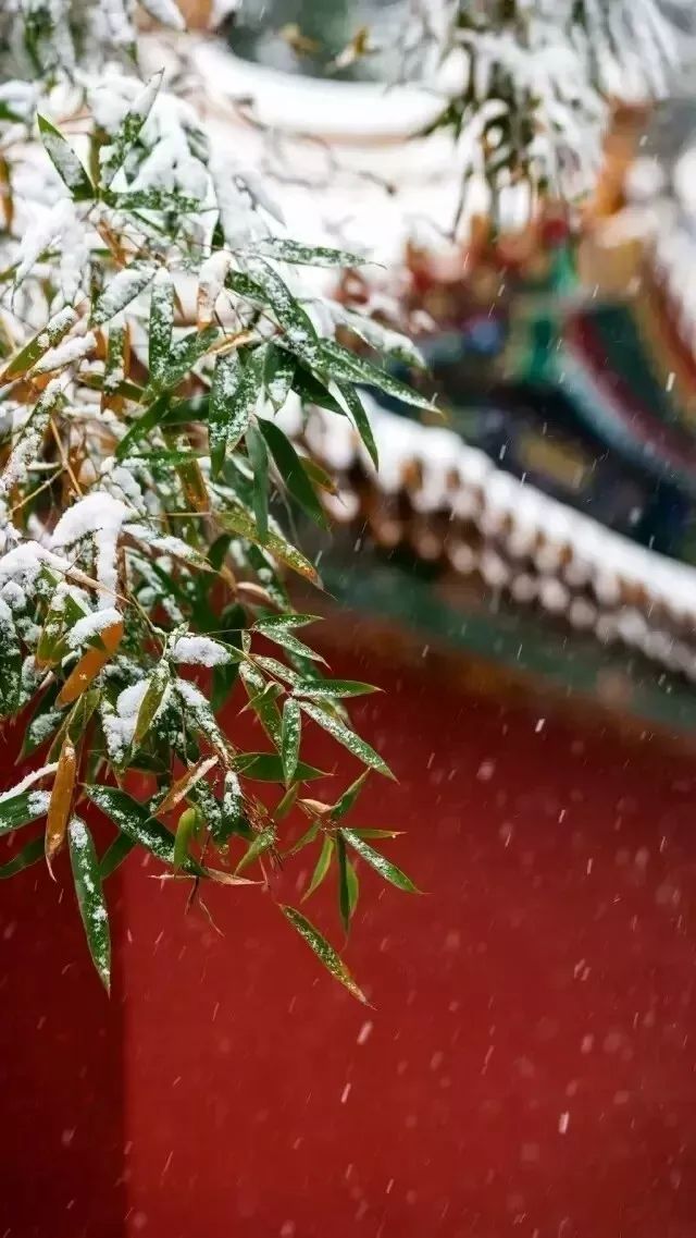 在中国歌曲,音乐在中国的发展史