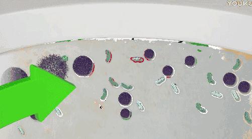 马桶黄污渍怎么去除妙招,马桶污垢发黄怎么去除