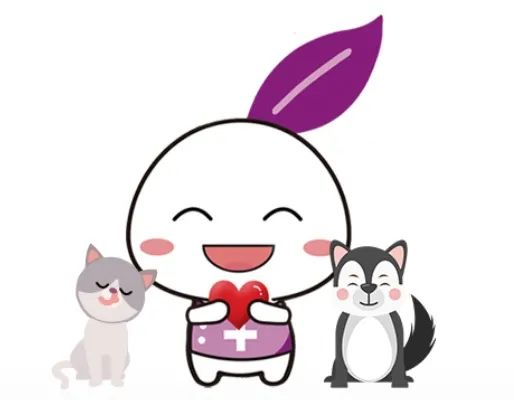 狗狗能剖腹产几次,狗狗剖腹产需要注意什么