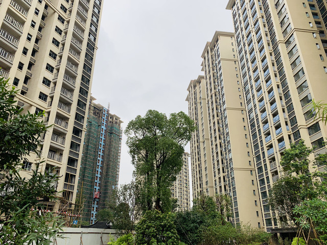 三水月亮湖颐景园最新消息,佛山三水广乐颐景园的房子怎样