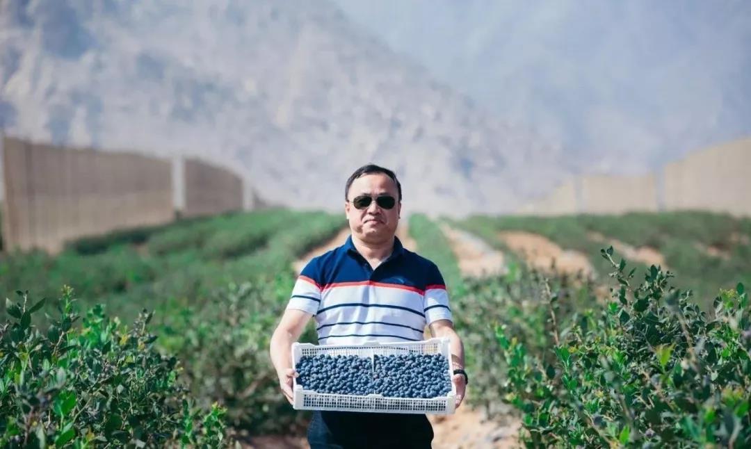 如何申请百果园供货商,百果园采购团队是如何有效运营的