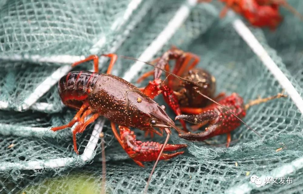 回眸十三五开启十四五,回眸十三五展望十四五