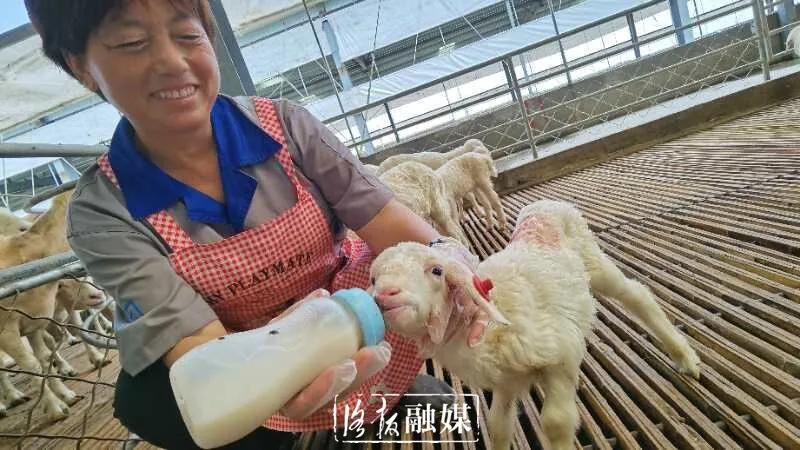 打工仔当上年薪百万公司老总,打工仔当上老板化身百万富翁