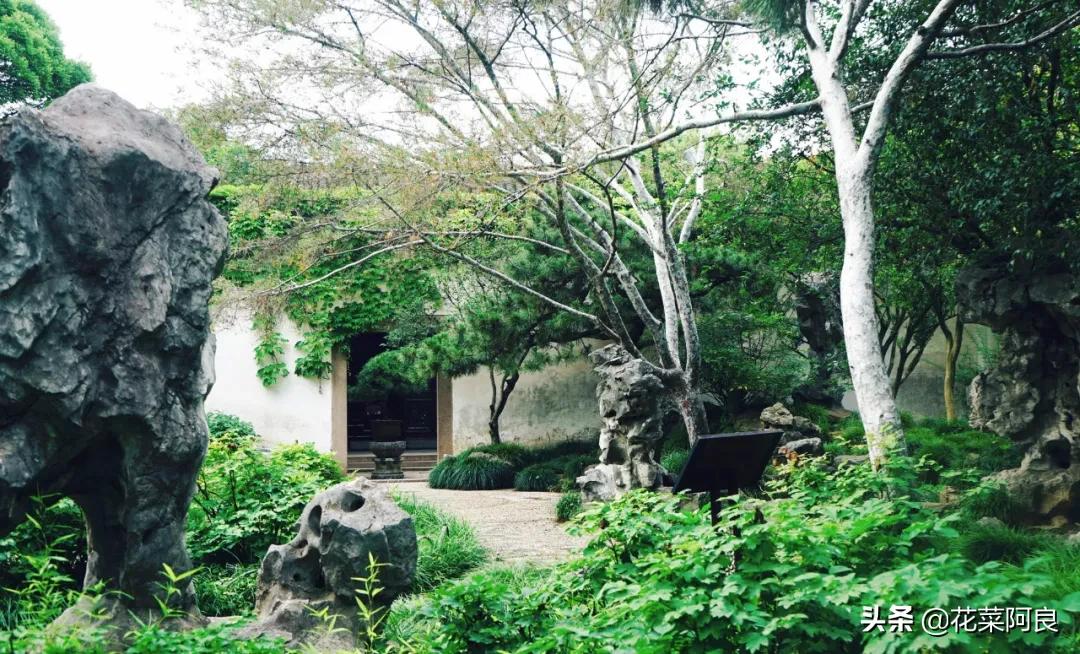 留园拙政园哪个景色好,留园和拙政园