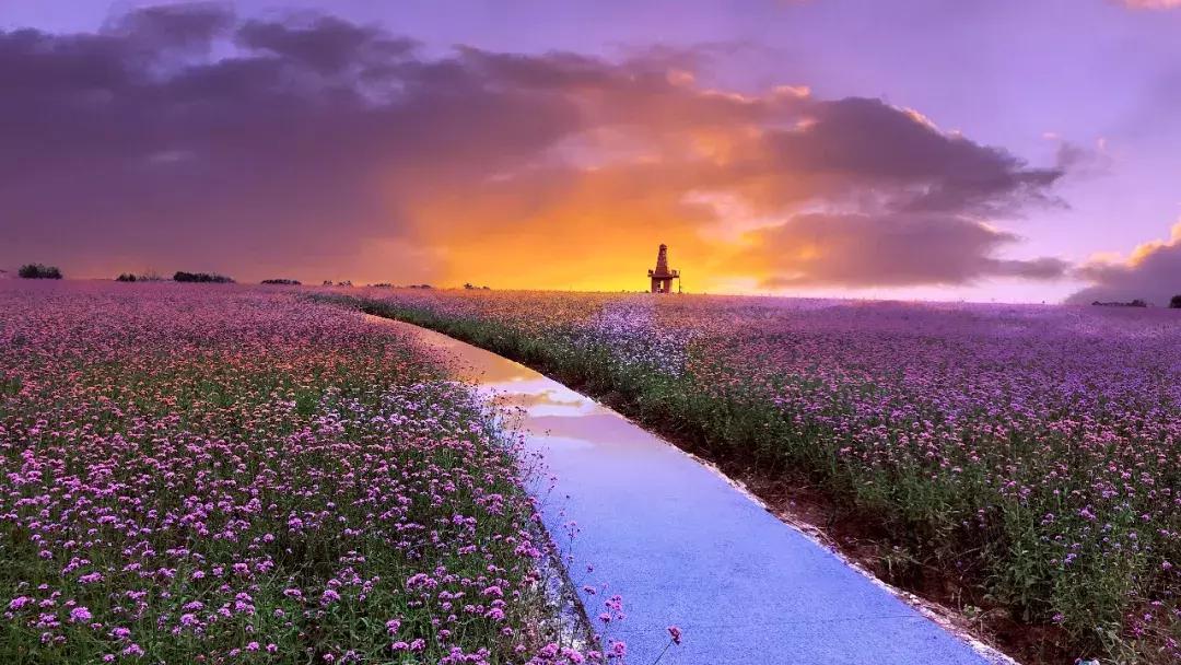 2020江苏连云港市重大项目投资,连云港5个项目集中开工