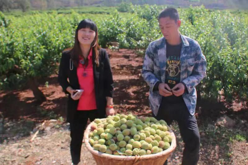 测土配方施肥的四大好处,测土配方施肥技术成本与收益