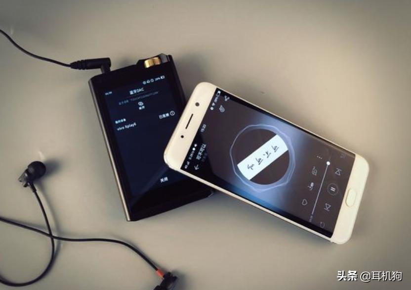 乐图墨菊值得入手吗,乐图菊花台旗舰播放器评测